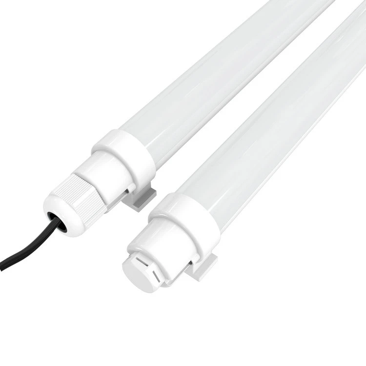 egg laying lights for chickens