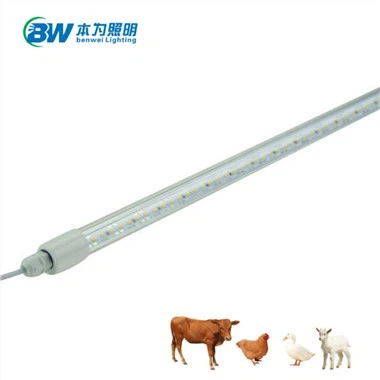 Свет с таймером для курятника