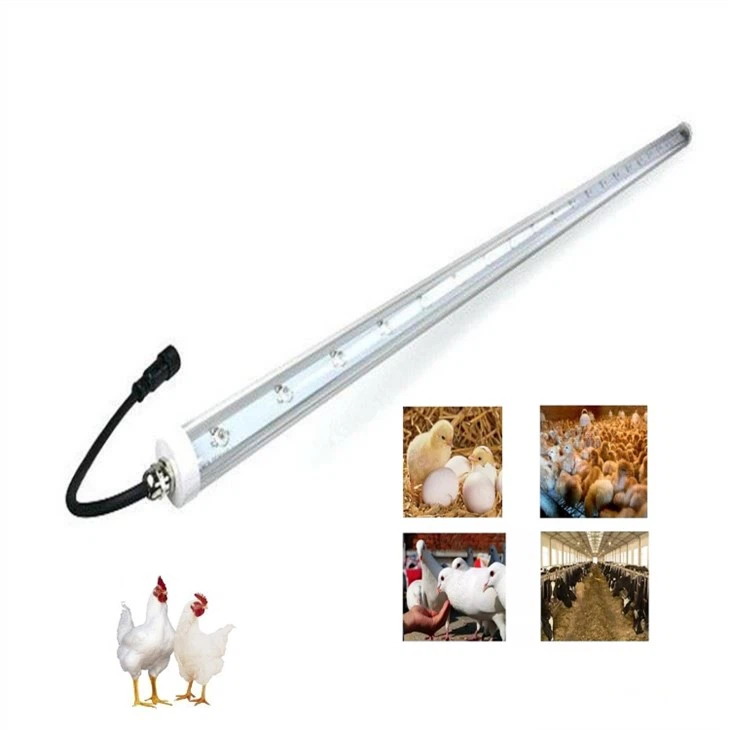 Chicken Coop Heat Lamp Safety