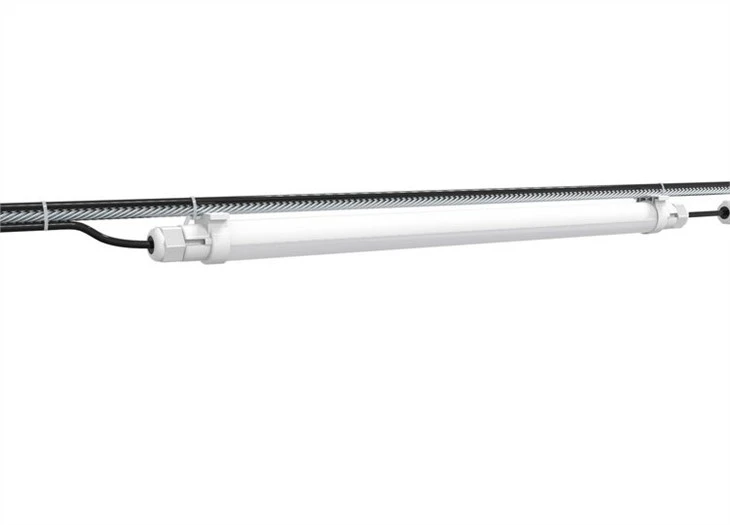 lighting for broilers