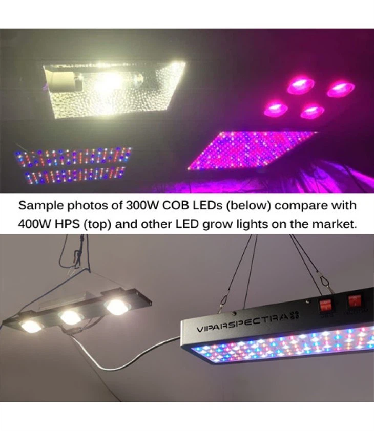 COB LED Grow Light Full Spectrum 3