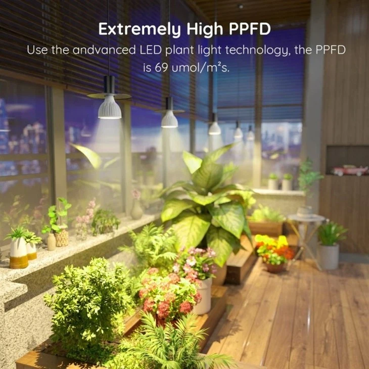 grow bulbs for plant