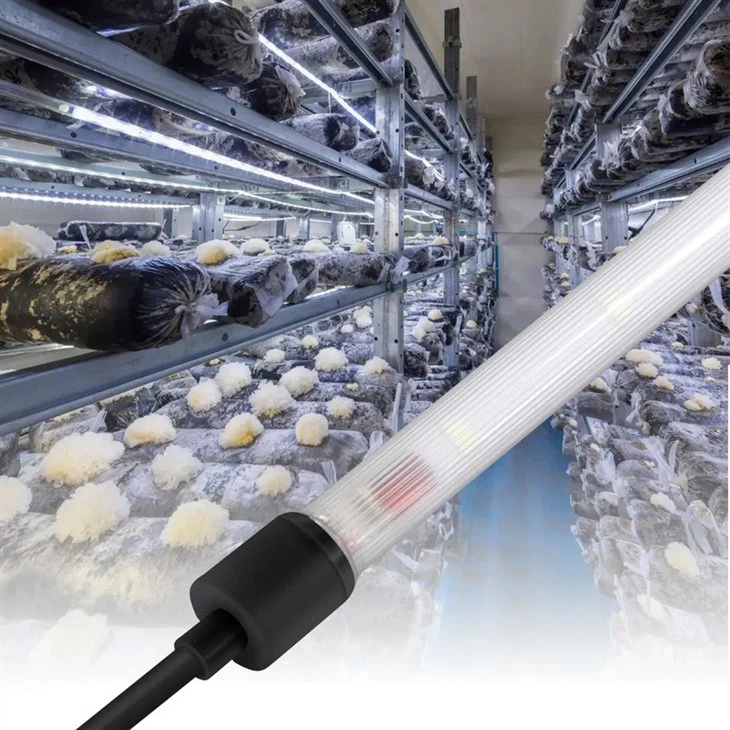 Mushroom Grow Light