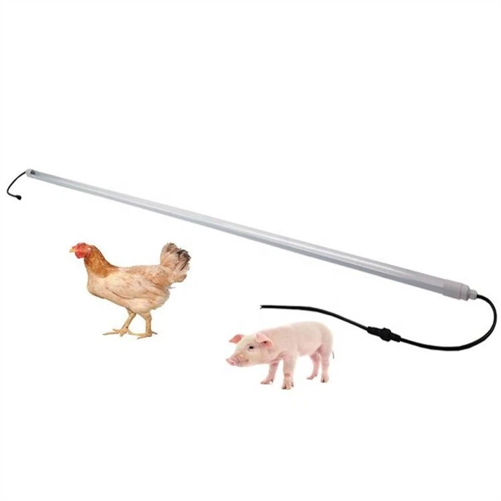 Poultry Farm LED Lighting