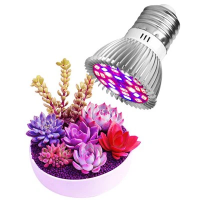 Самые яркие внутренние лампочки