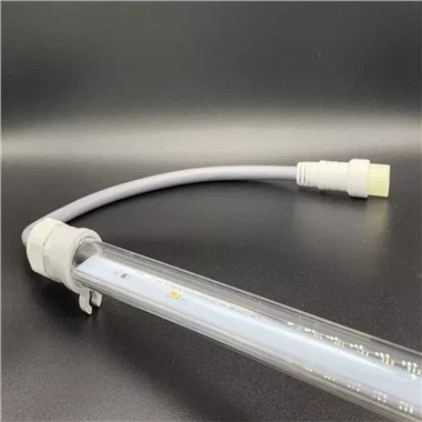 Куриный свет на зиму