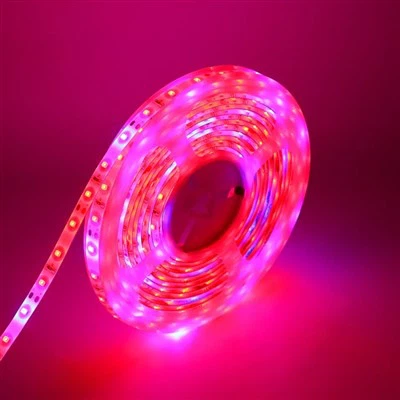 Гибкая светодиодная полоса неонового света RGB
