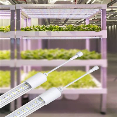 Светодиодные фонари для стадии цветения