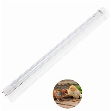 Огни для курицы