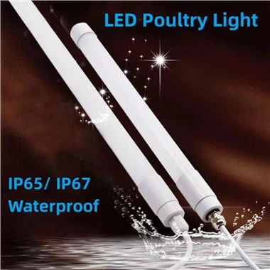 Свет для кур