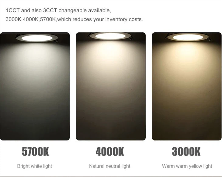 5w downlight led