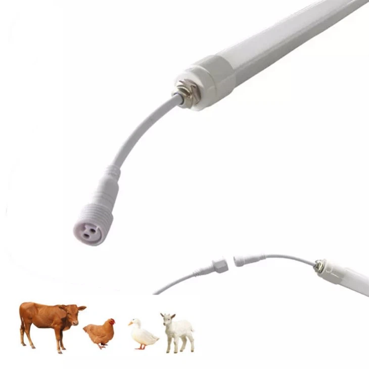 220V Poultry Led Lighting