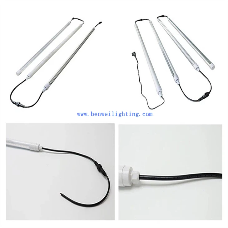 Bird Brooder Light (4)