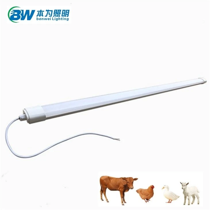 Chicken Coop Light 20w 4000k
