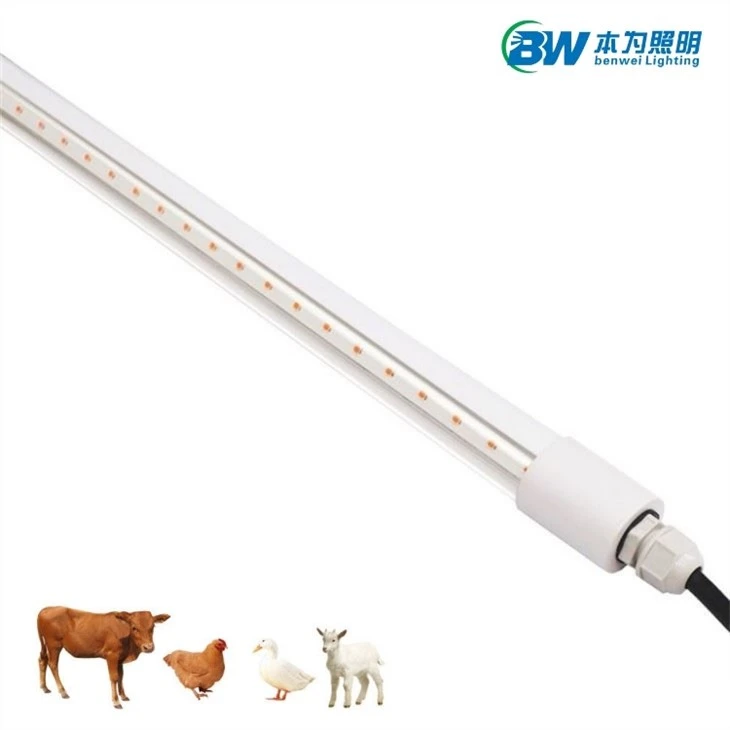 Chicken Coop Light 20w 4000k