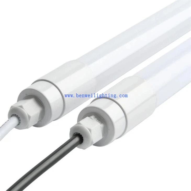 Cow Barn Poultry Light (5)