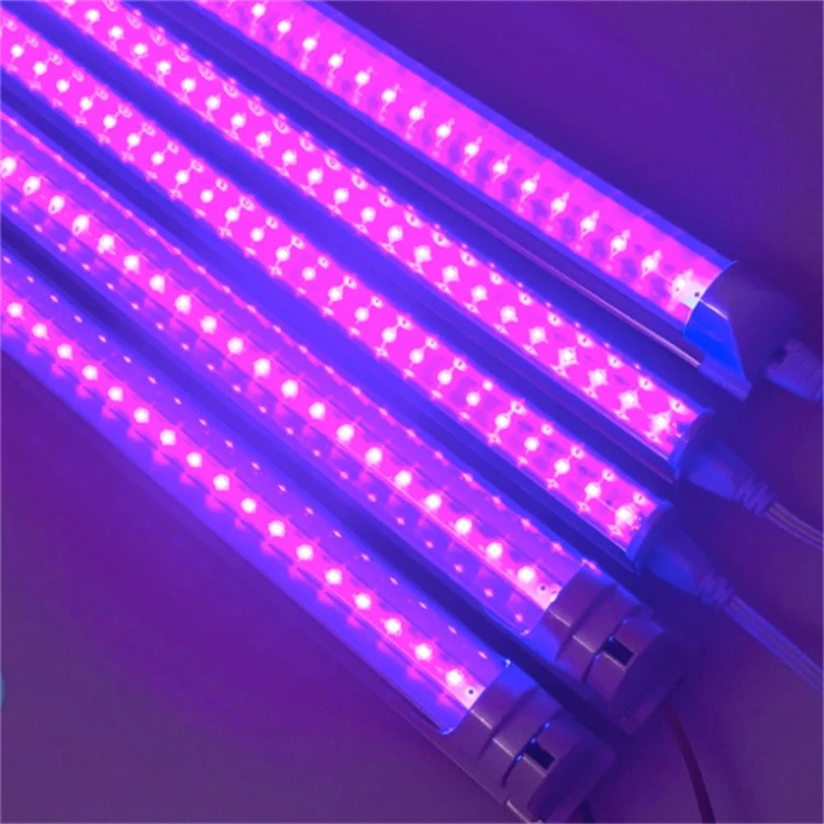 395nm UV Lamp 2 395nm UV Lamp 2