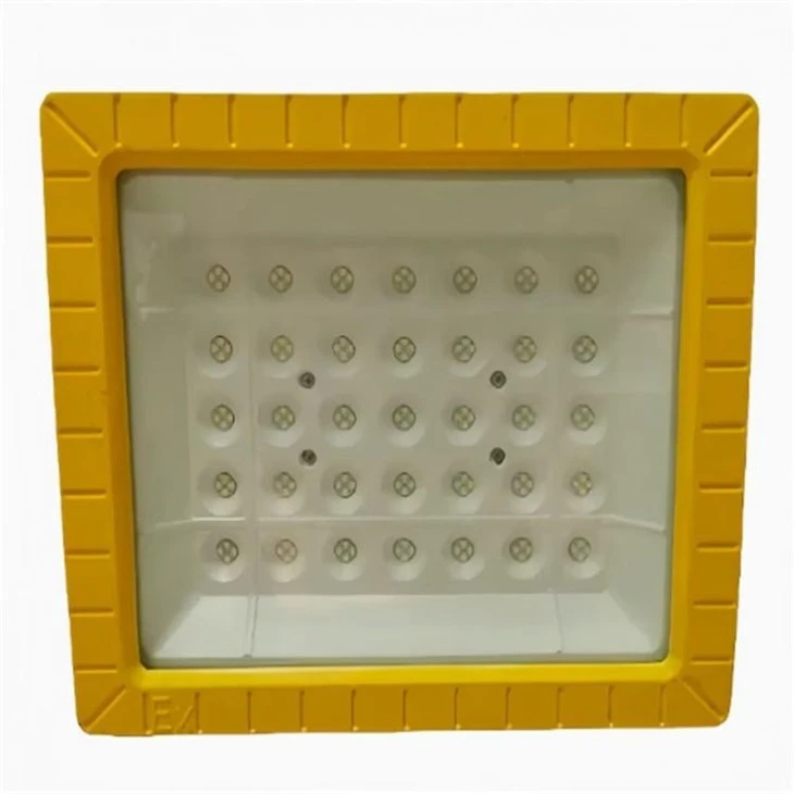 explosion proof light