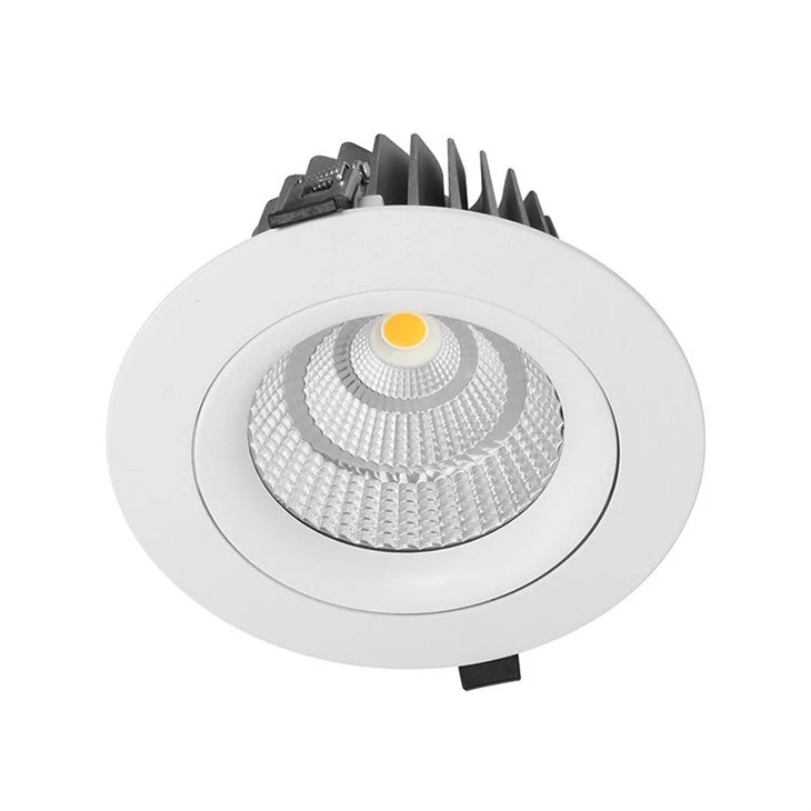 Led Downlight Rgb