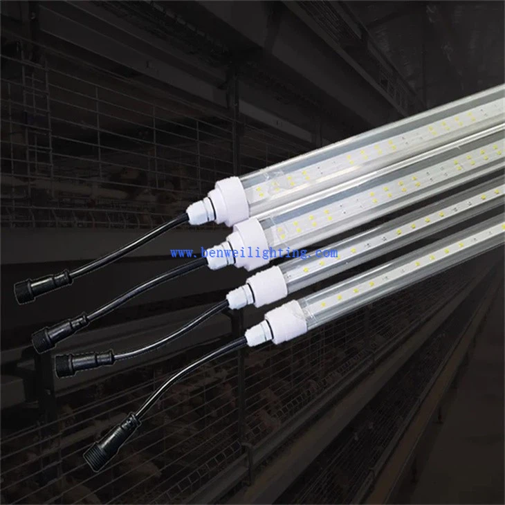 Light For Chicken House (5)