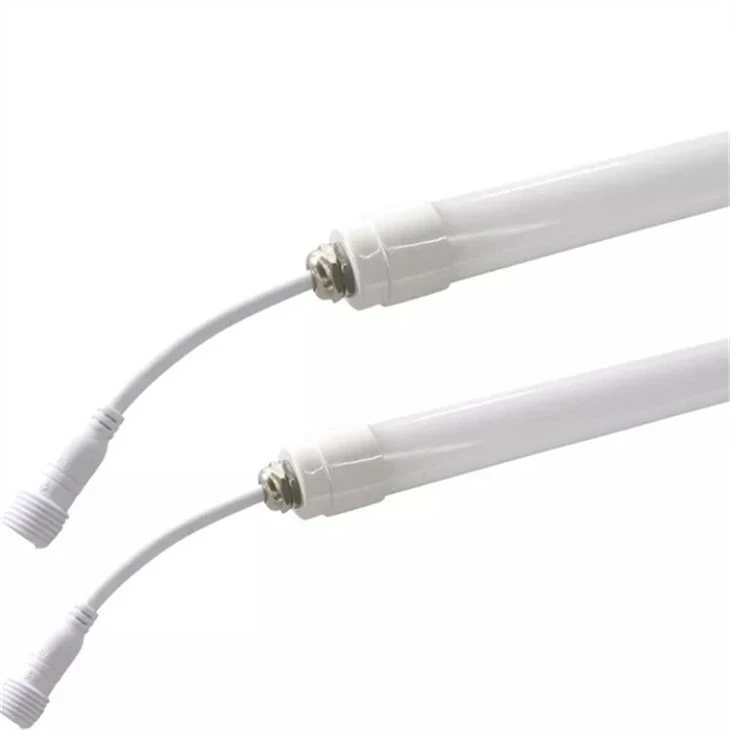 Light For Egg Laying