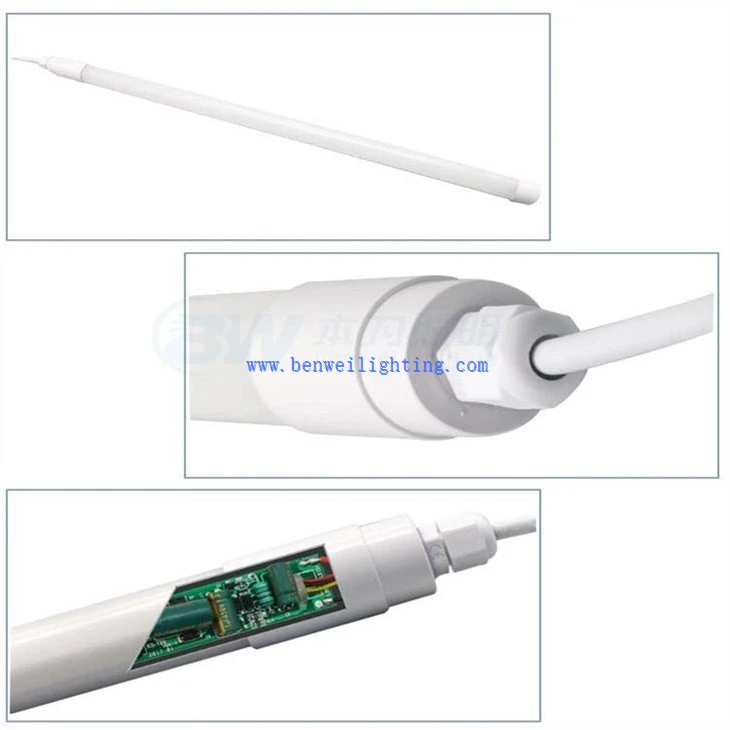 Light For Egg Laying (2)