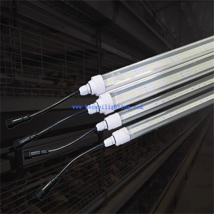 Light For Egg Laying (4)