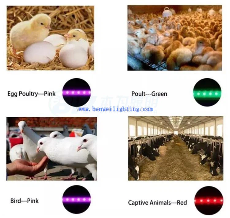 202111221554123679625 202111221554123679625