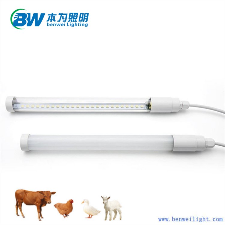 product-750-750