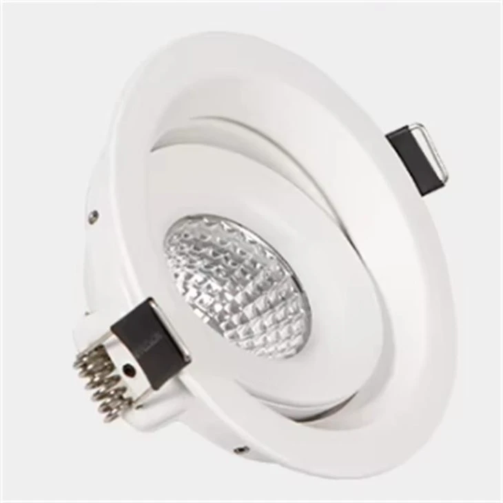Recessed Adjustable Downlight factory
