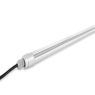 Рассада растет светом