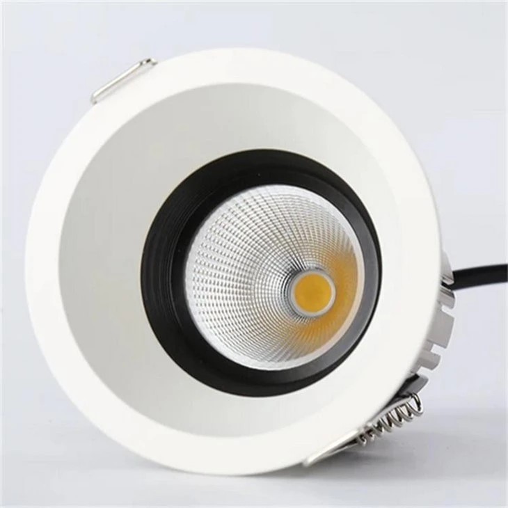 Sunflower Radiator Downlight factory
