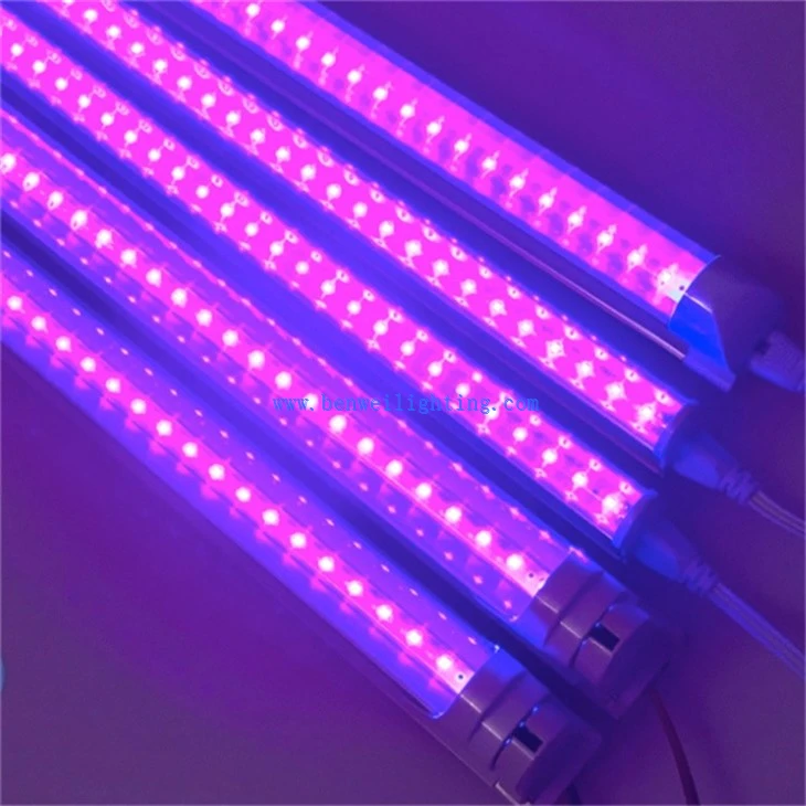 Two Sides UV Light (5)